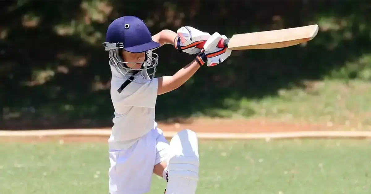 Cricket Bats For Junior Players