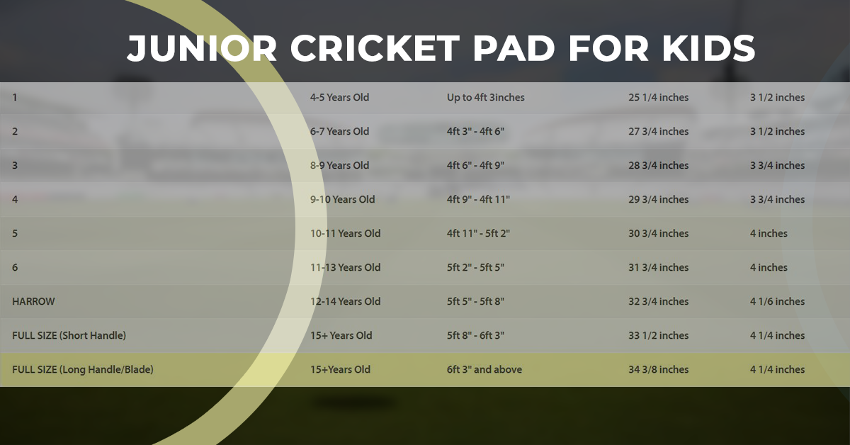 How To Buy The Best Cricket Pads For Kids? 