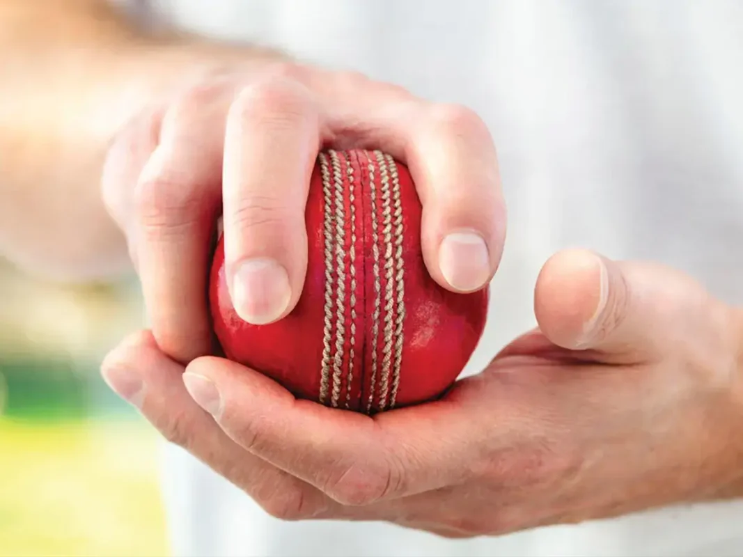 Best Cricket Ball Buying Guide