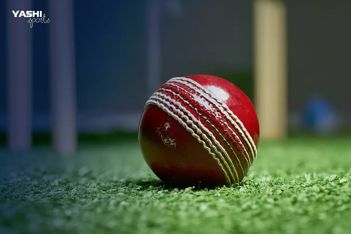 Different Types of Cricket Balls